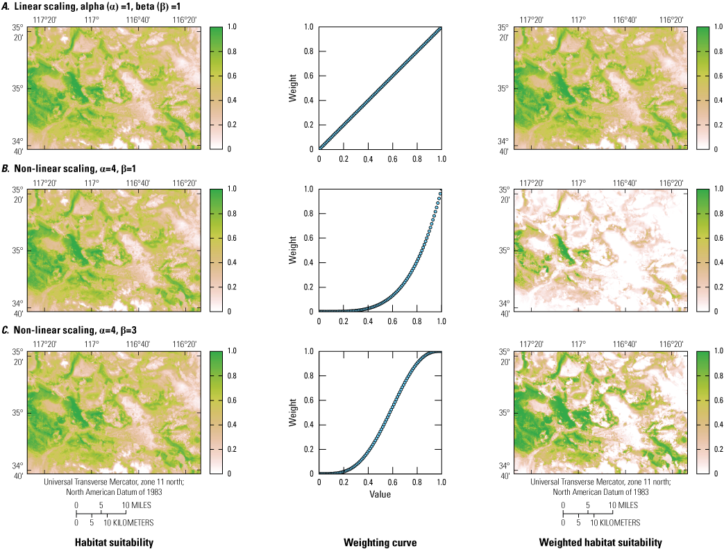 5. Manipulation of the weight and scale of each parameter.