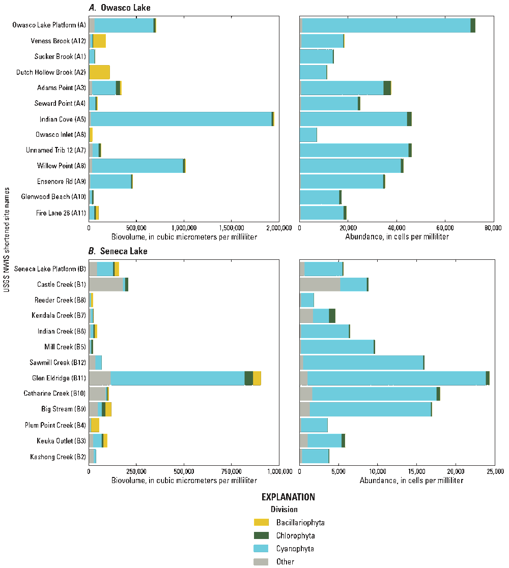 In Owasco Lake, Indian Cove had the highest total biovolume and the platform had the
highest total cell abundance; in Seneca Lake, Glen Eldridge had the highest total
biovolume and cell abundance.