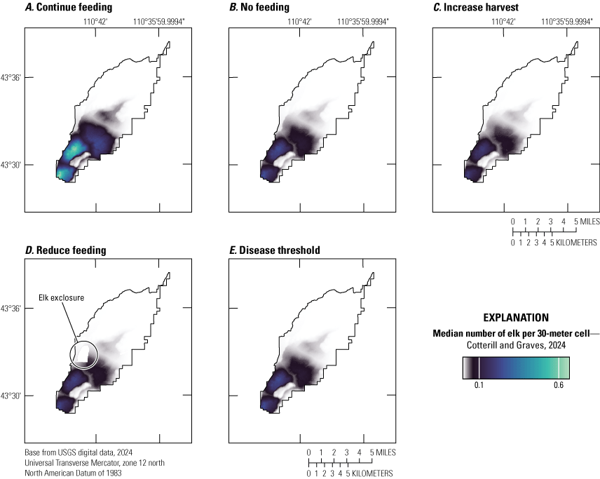 The median number of elk per 30-meter cell is highest under the continue feeding alternative.