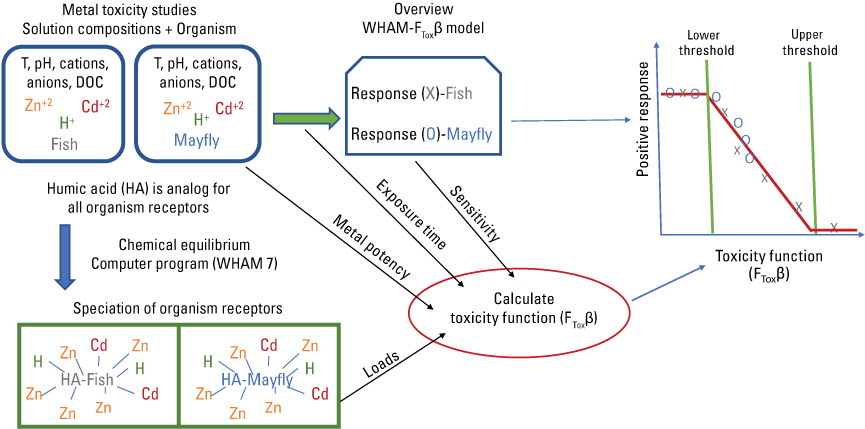 Summary of the model.