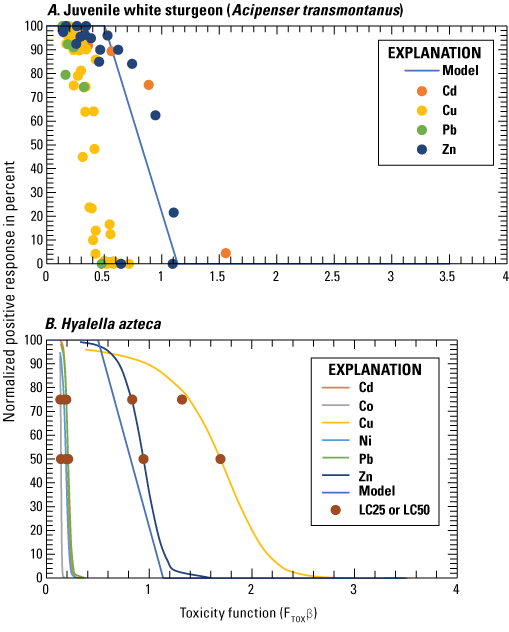 Laboratory data for single metal exposures and model fit using meta-analysis parameters
                        of Tipping and others (2023) for juvenile white sturgeon (Acipenser transmontanus)
                        and Hyalella azteca.