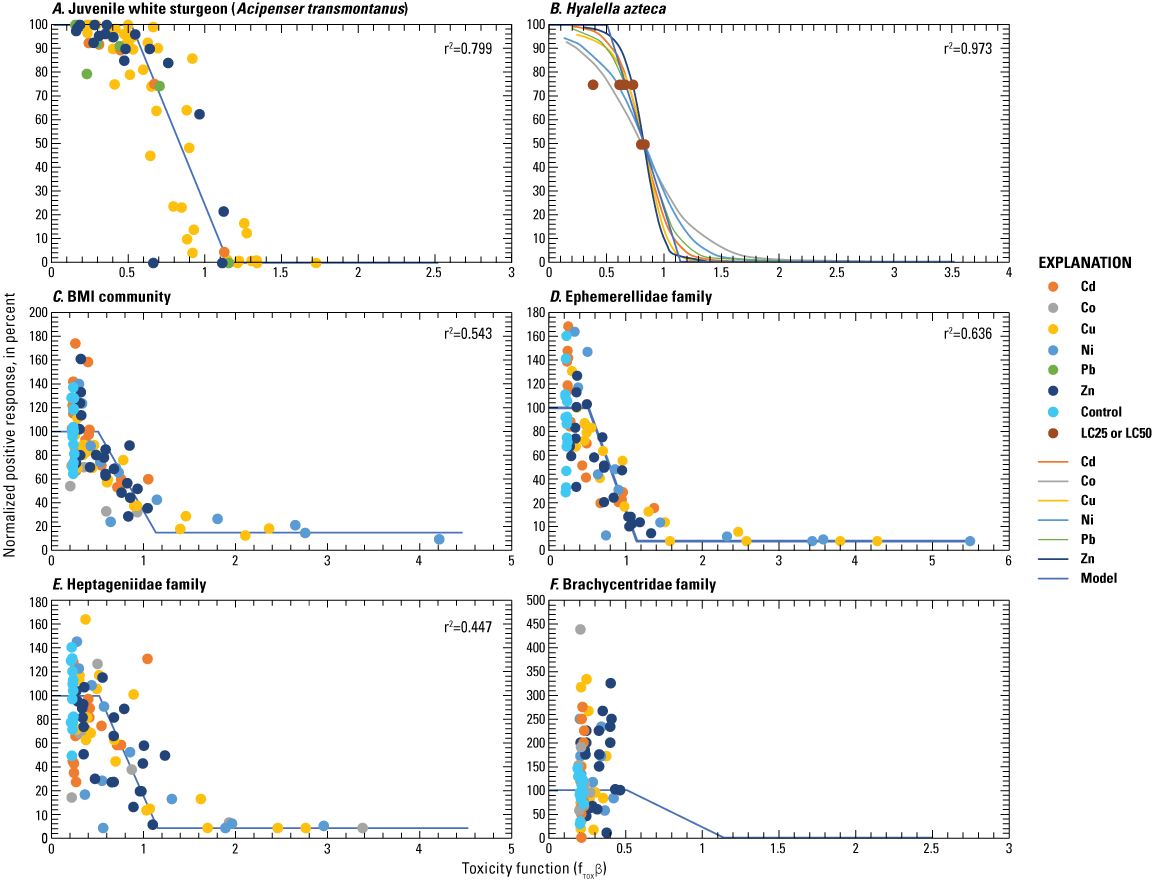 Laboratory data from single metal exposures and best fit models for all studied benthic
                        biota.