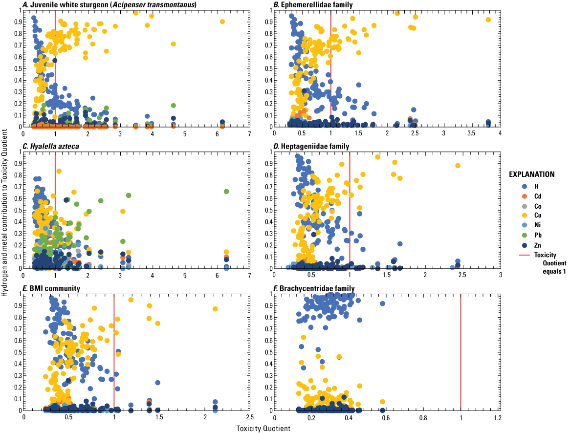 Toxicity Quotients compared to fractional contributions of hydrogen and each metal
                        to the toxicity function for studied organisms in the upper Columbia River Basin porewater,
                        2019.