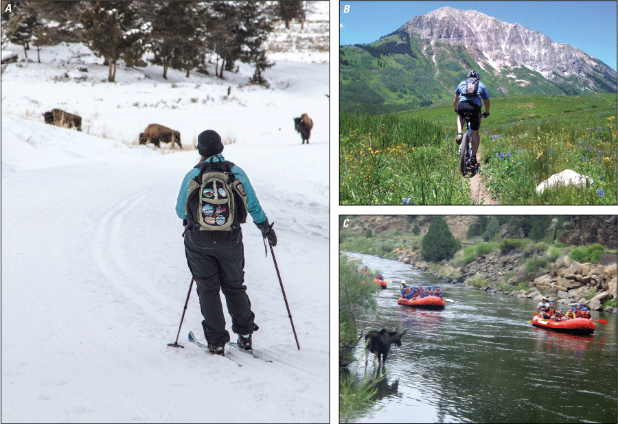 A snow skier observes bison, a mountain biker follows a trail, and a group of rafters
observe a moose.