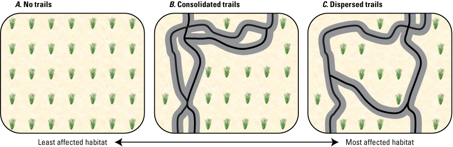 A landscape with no trails will lose no habitat patches to recreation, a consolidated
trail network will have some affected habitat patches, and a dispersed trail network
will have the highest number of affected habitat patches.