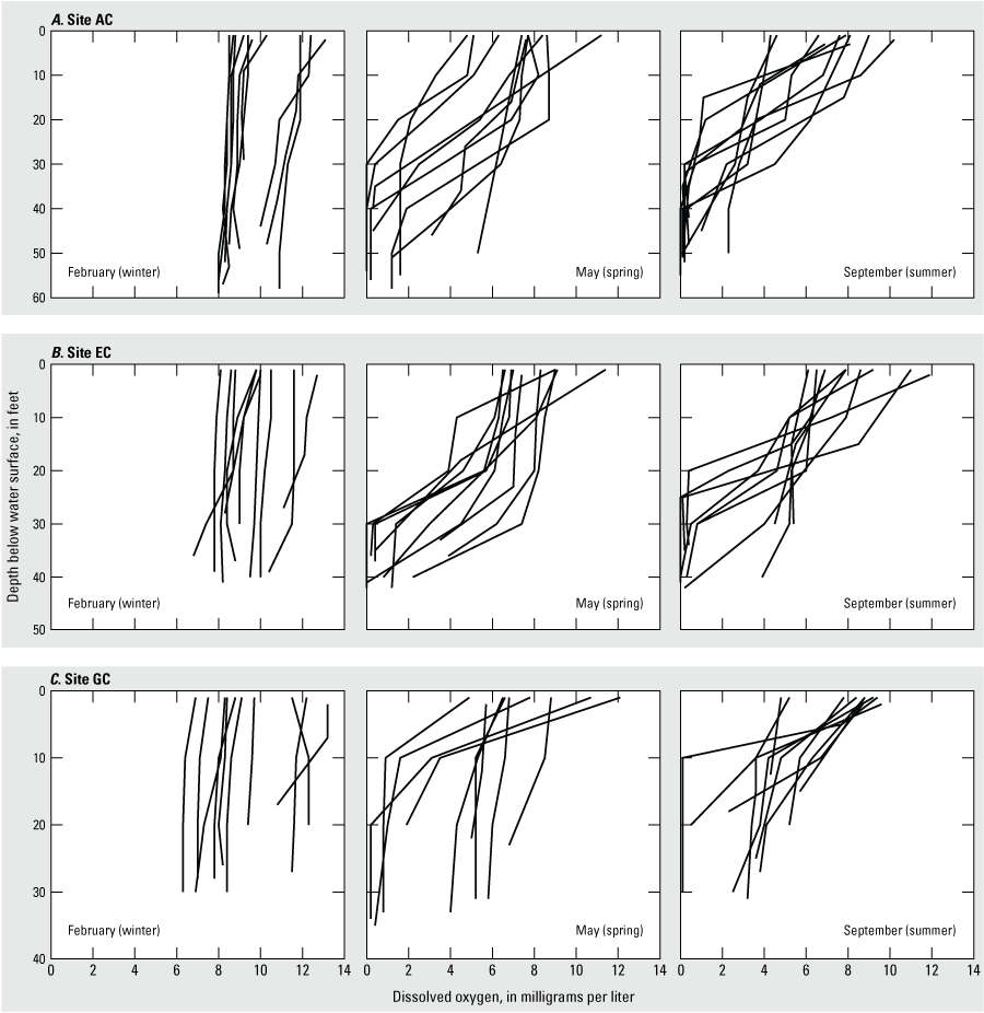 Concentrations depleted at a depth of 30 feet at sites AC and EC during summer.