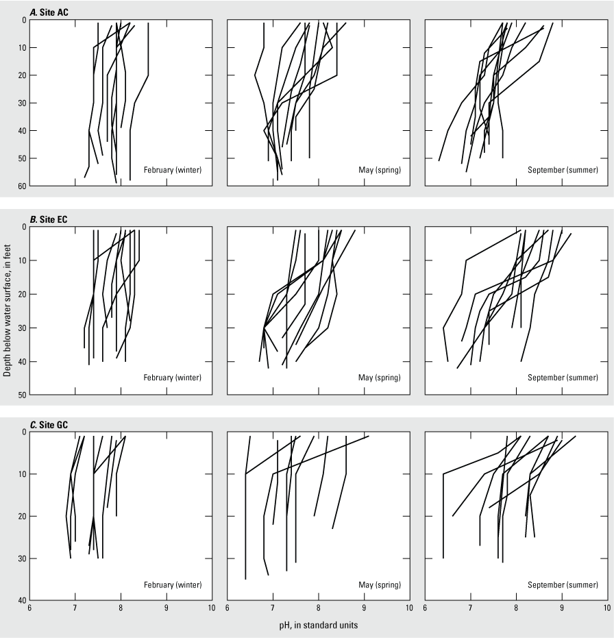 Depleted pH values occur with depth during summer.