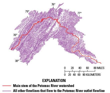 The main stem of the Potomac River is shown among many tributary flowlines.
