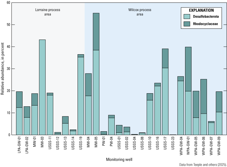 Desulfobacterota and Rhodocyclaceae typically have a combined relative abundance of
more than 10 percent in the study area.