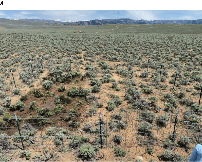Experimental fencing and open shelter with green vegetation in the foreground and
                              mountains in the background.