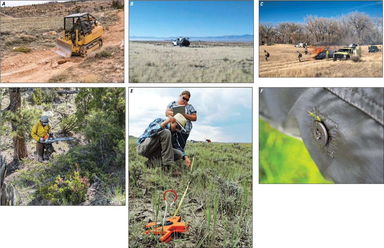 A skid steer on a dirt road, herbicide dispersed from a truck, people implementing
prescribed fire, a person using a chainsaw to cut a tree, people measuring and collecting
vegetation data, and invasive annual grass seeds attached to clothing.
