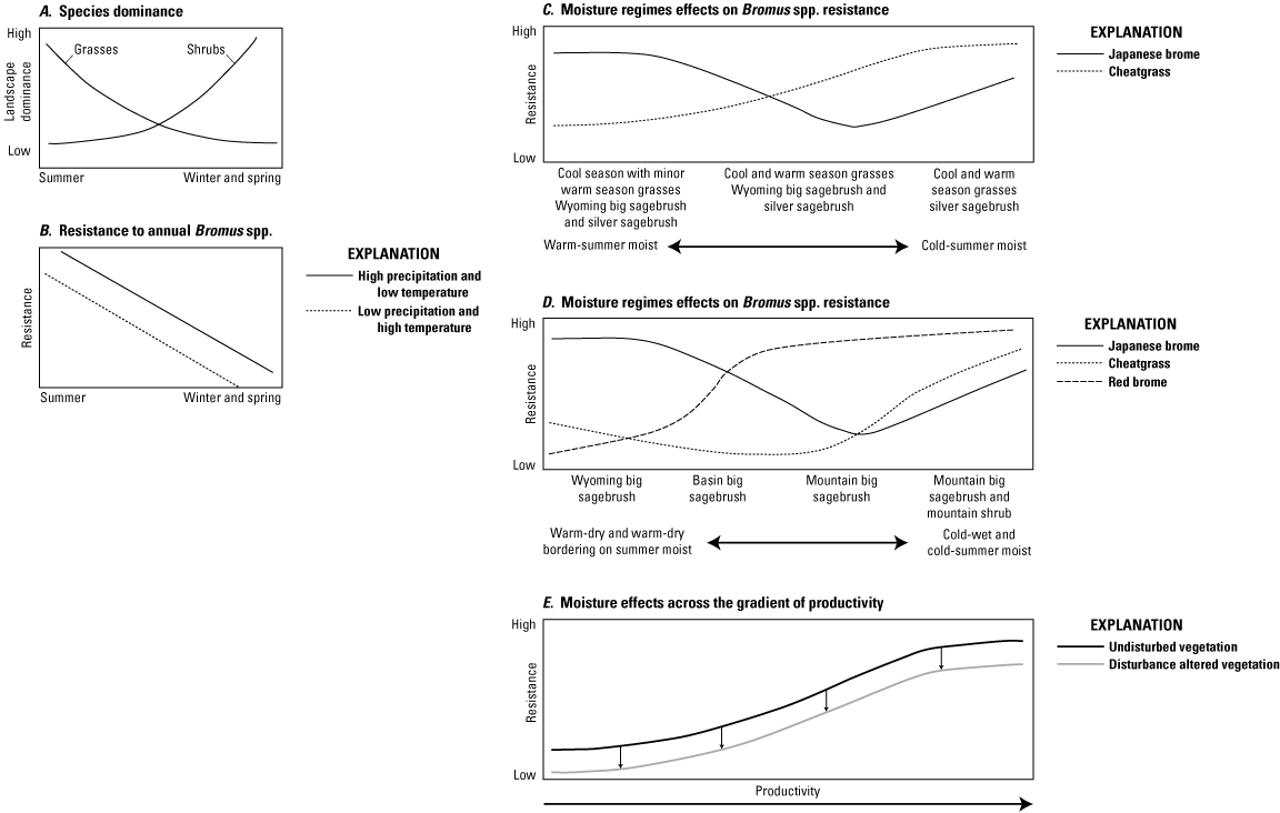 Landscape dominance and ecosystem resistance varies by climate and brome species.