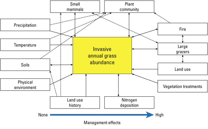Managers have more control on factors like fire and grazing as compared to environmental
factors like temperature and soils.