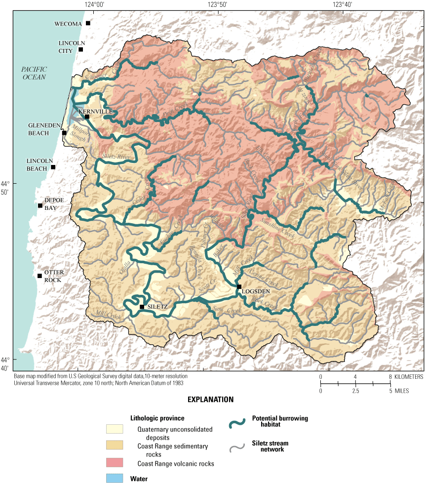 Map showing potential burrowing habitat for lamprey larvae identified along the Siletz
River network using methods from Jones and others (2020).