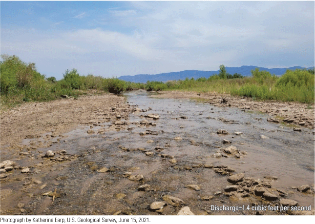 15. The water is extremely shallow.
