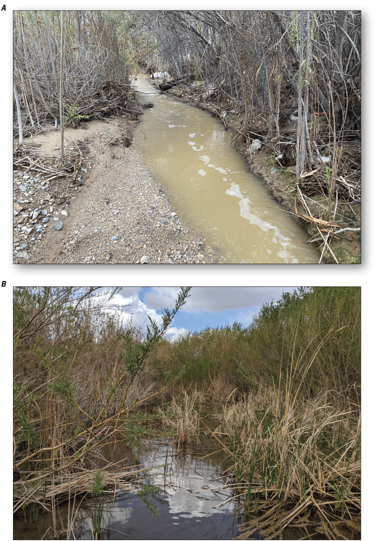 2. Two examples of river channels with dense vegetation on banks.