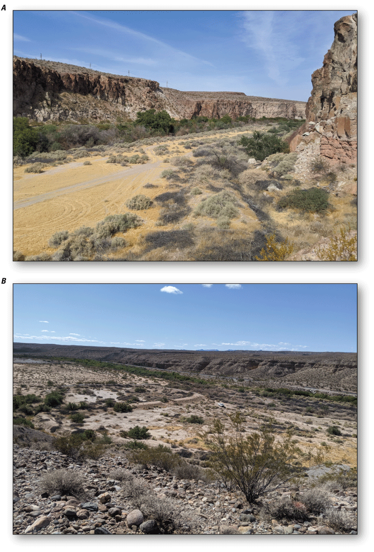 3. Two examples of floodplains with areas of dense shrubs and trees