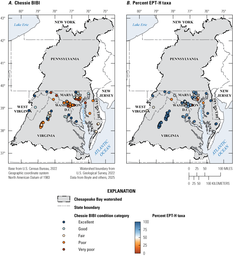 Macroinvertebrate sites only occur in the southern half of the watershed and poor
index of biotic integrity sites are concentrated in the Baltimore–Washington, D.C.,
metropolitan area.