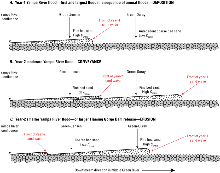 A year-2 moderate Yampa River flood may maintain fine bed sand at the Green-Jensen
                        station and convey it to the Green-Ouray station, whereas a year-2 smaller Yampa River
                        flood or Flaming Gorge Dam release may coarsen bed sand at the Green-Jensen station