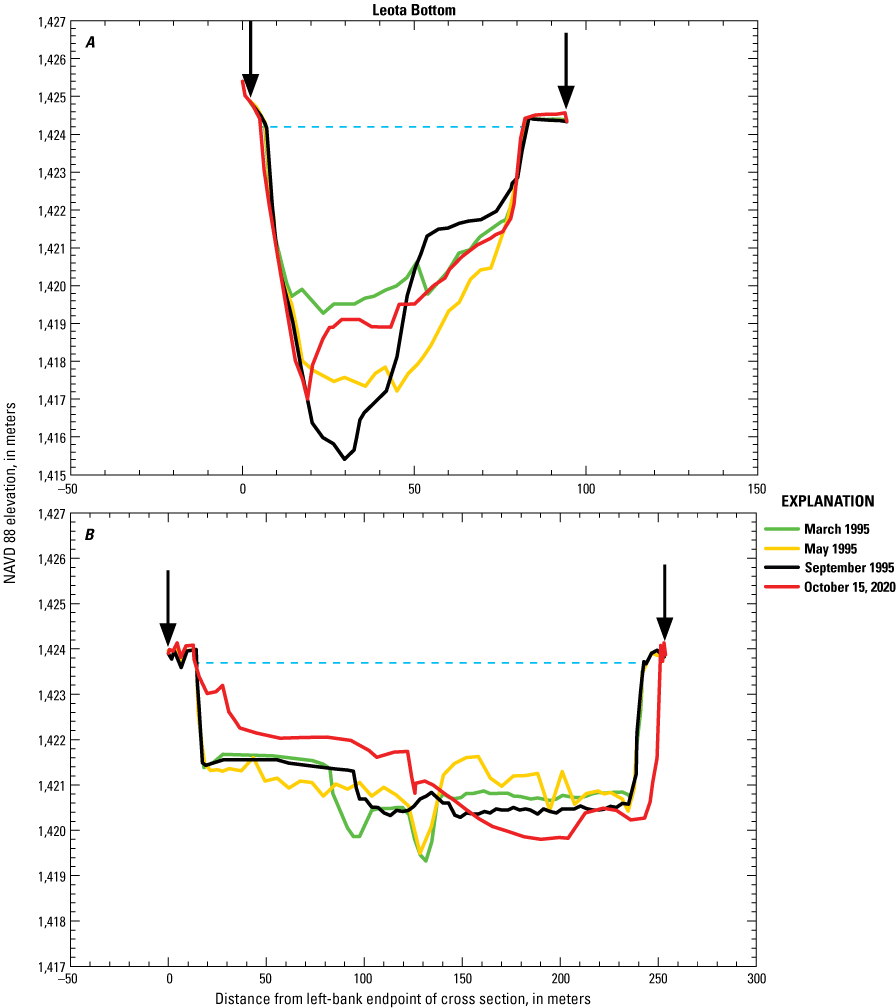 Two cross section plots comparing channel width and topography in three 1995 surveys
                           and in 2020 at Leota Bottom