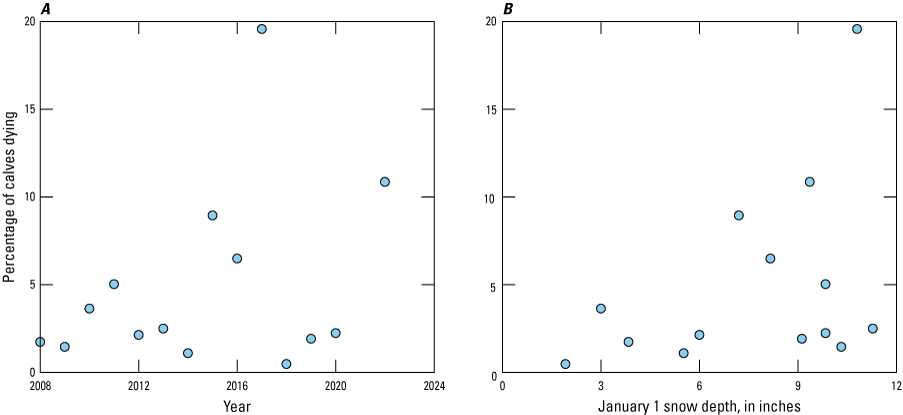 The percentage of calves dying was usually below 5 but was as high as 20 percent in
2017, and the percentage of calves dying was variable but increased with the amount
of snow in January.