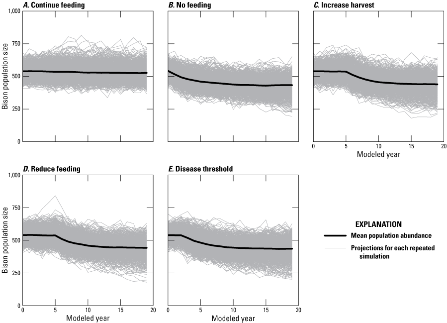 Projected bison population estimates over time indicate that the continue feeding
alternative maintains larger populations.