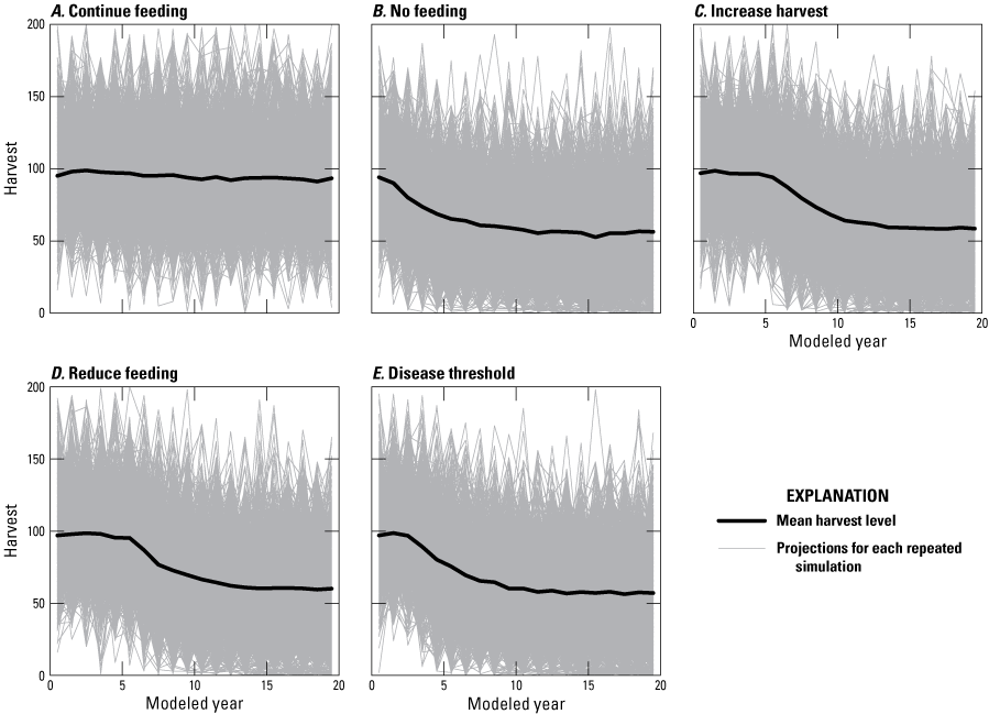 Projected bison harvest estimates over time indicate that the continue feeding alternative
maintains higher bison harvest.