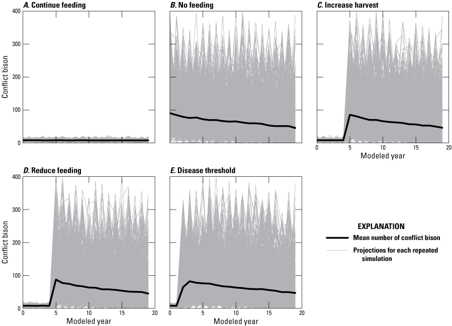 Projected conflict bison estimates over time indicate that the continue feeding alternative
results in fewer conflict bison.
