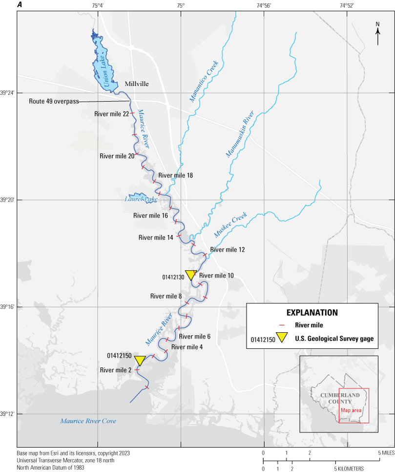 Two maps showing river miles (increments of 2) as red ticks and gages as yellow triangles
                     at the Maurice and Cohansey Rivers.