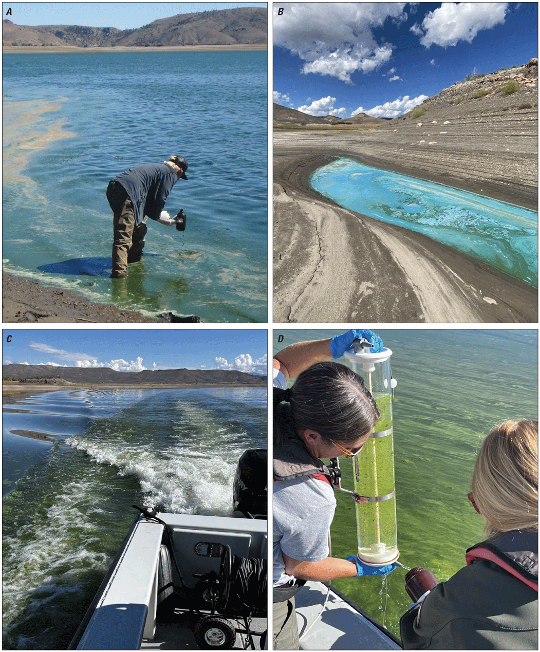 Technicians taking algal samples in the reservoir from the shore and from a boat.
                     Algal blooms on the reservoir surface are green or blue in color.