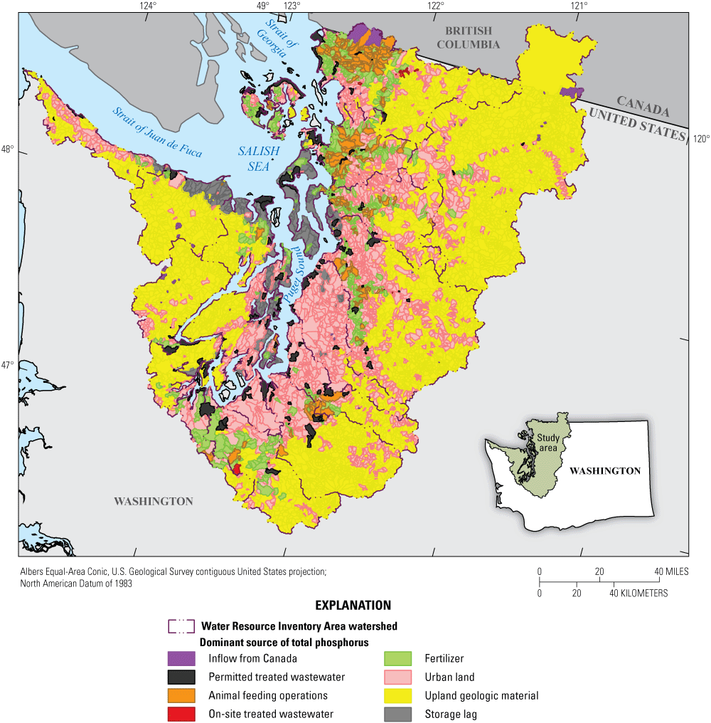Map of dominant total phosphorus sources throughout the Puget Sound region indicates
                        a shift from natural to human-driven moving from headwaters to larger rivers.