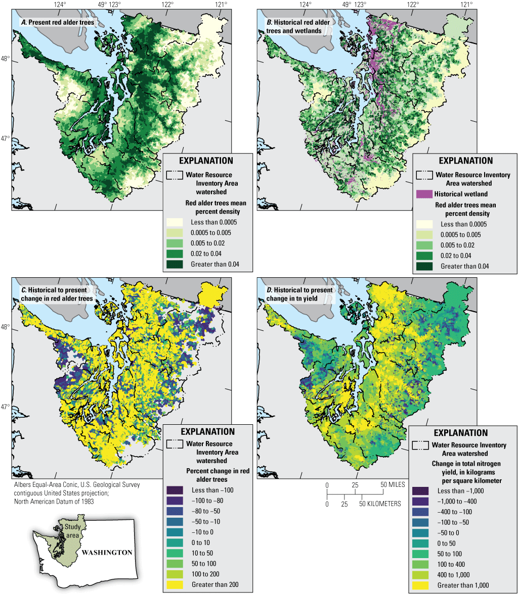 Maps indicating that red alder tree coverage has increased since preindustrial in
                     lower rivers and wetlands have decreased throughout the Puget Sound region.