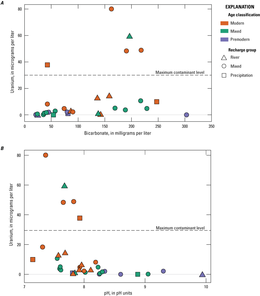 19.	Uranium concentrations increased with bicarbonate concentrations and pH, with
                           age class depicted by color and recharge shape depicted by shape.