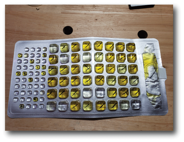 Bacteria are marked present in 51 cells of the Colilert Quanti-Tray/2000. E. coli
                        are marked present in five.