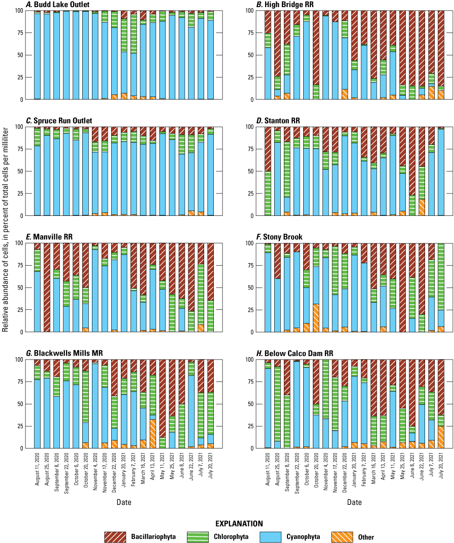 Bar graphs showing divisions and relative abundance of cells; Cyanophyta is shown
                     the most, Other is shown the least.