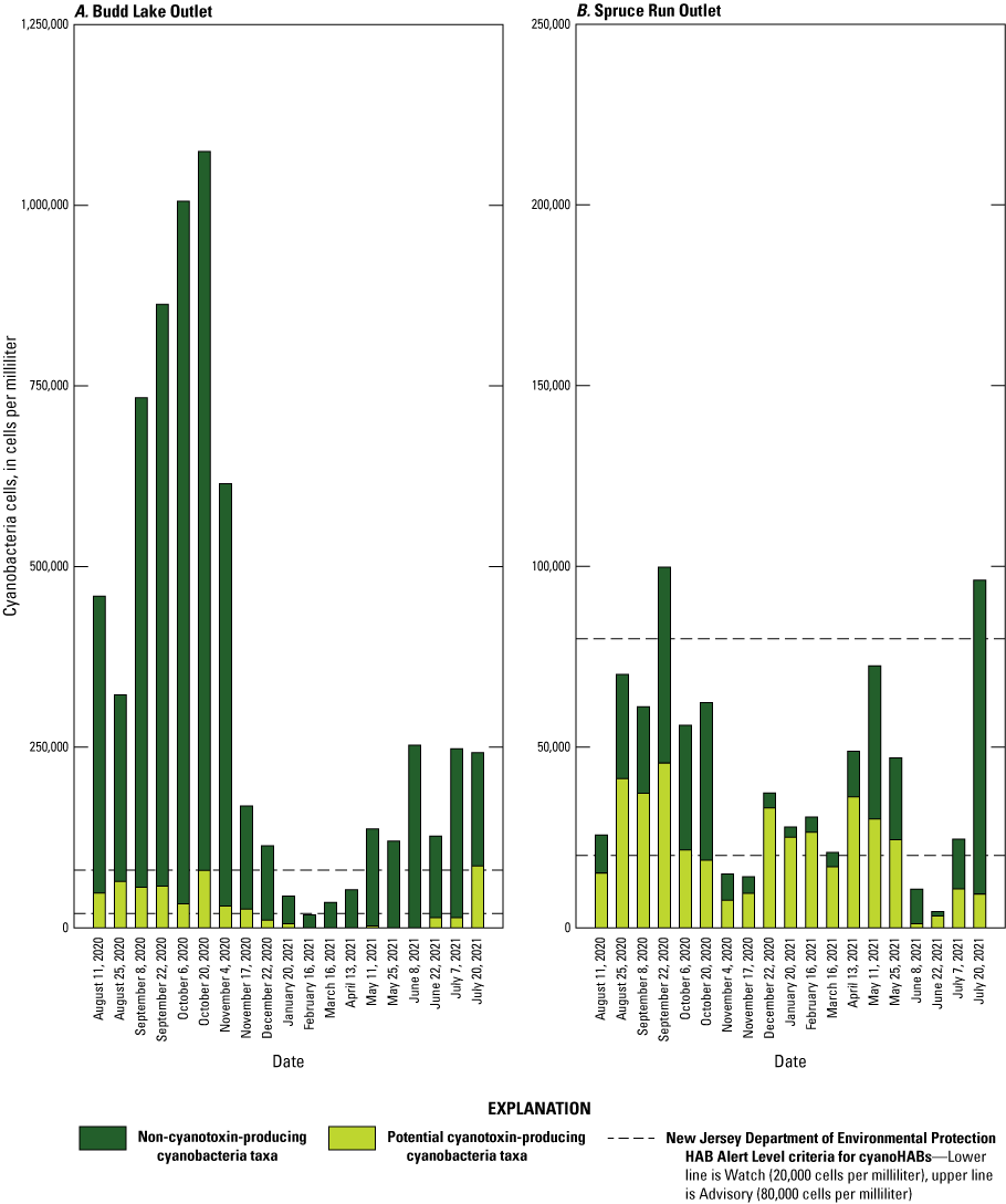 Bar graphs showing cyanobacteria abundance; Dashed lines indicate NJDEP action levels
                     for cyanoHABs; most are less than NJDEP levels.