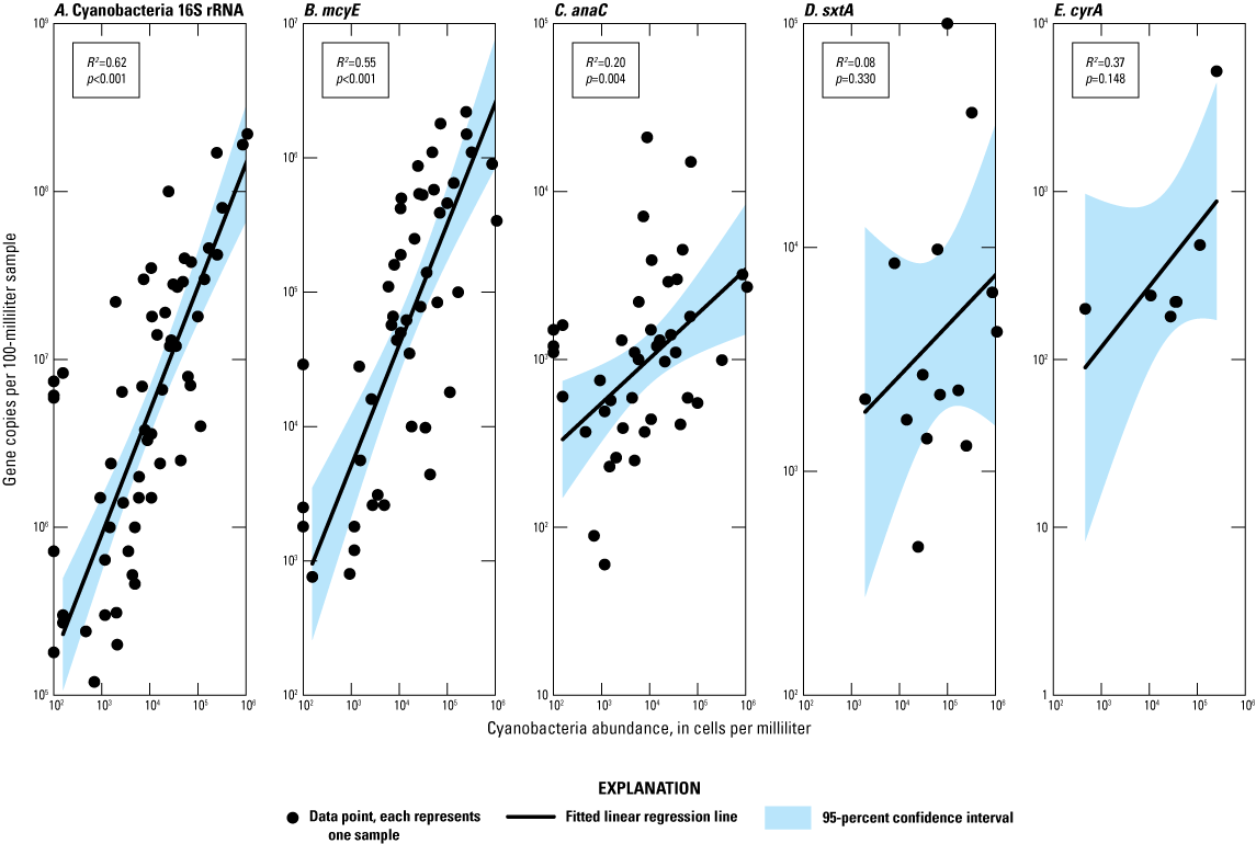 Trends are generally positively correlated; sxtA and cyrA are weaker than cyanobacteria
                     16S rRNA, mcyE, and anaC.