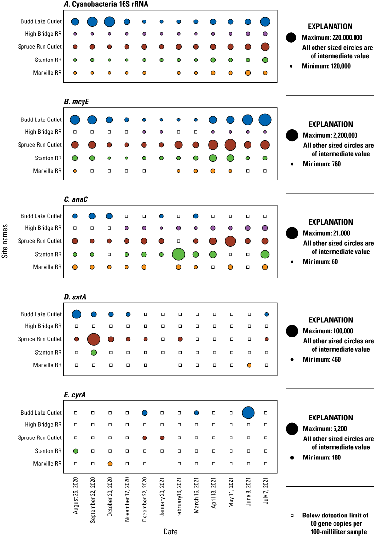 Multicolored circles and black hollow squares showing abundance of cyanobacteria gene
                     detections at each study site over time.