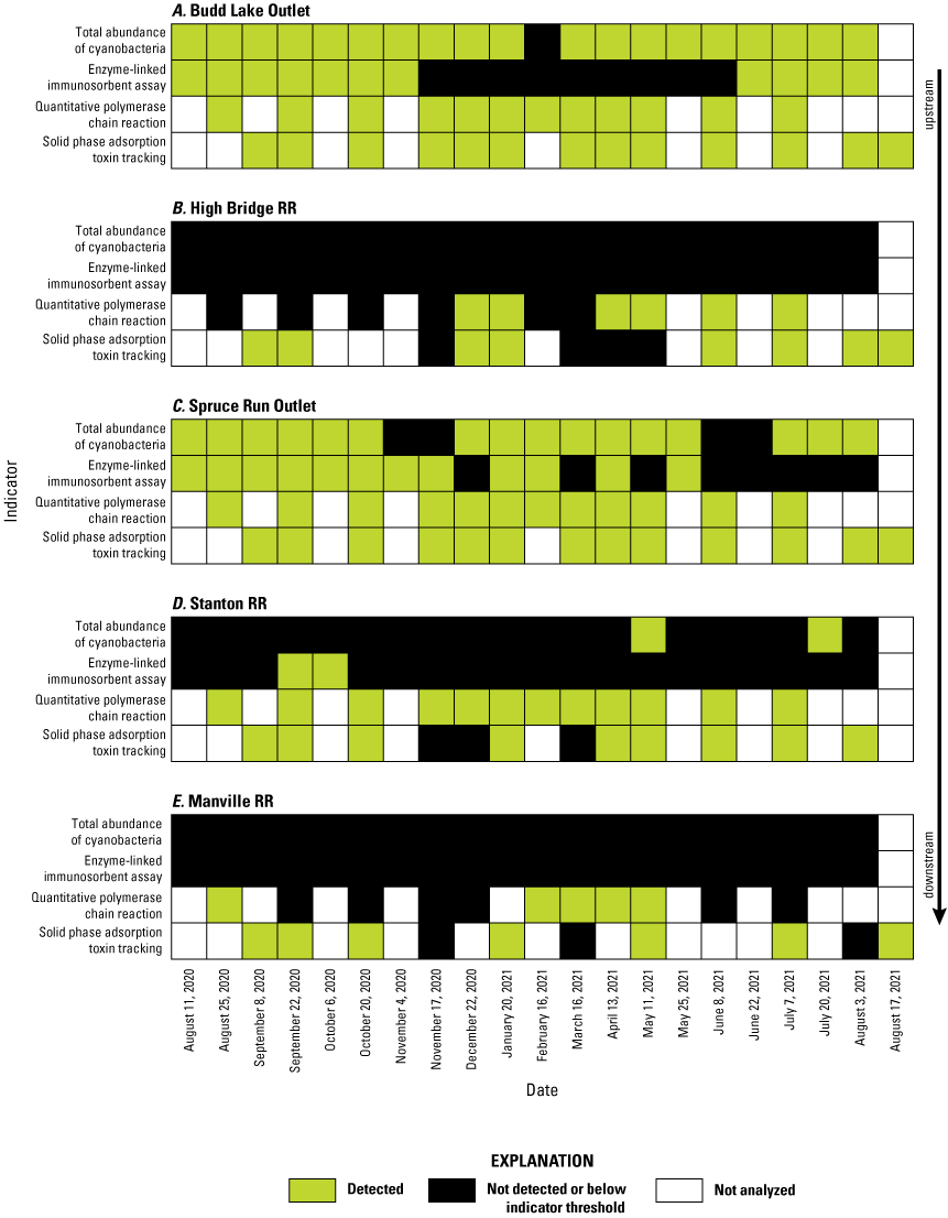 Green color indicates detection, black is not detected or below HAB Alert threshold,
                     gray is not analyzed. Cells are vertically aligned by sample event; Solid phase adsorption
                     toxin tracking samplers are indicated by retrieval date.