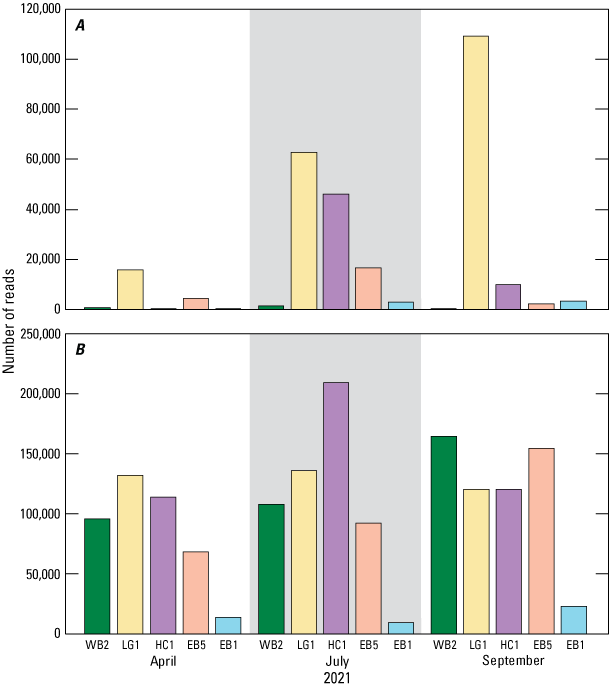 Number of reads varied by site but were greatest at LG1 for cyanobacteria and at HC1
for eukaryotic algae.