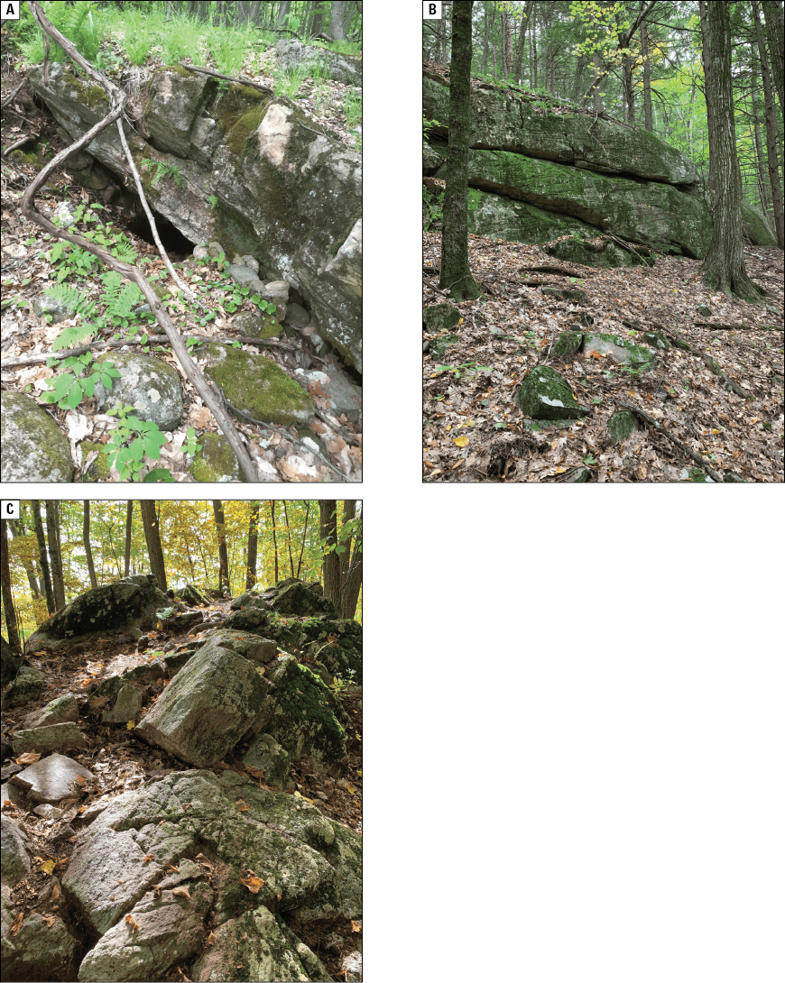 Three photographs of fractured bedrock outcrops on a forested hillside with vegetation
                        and fallen leaves.