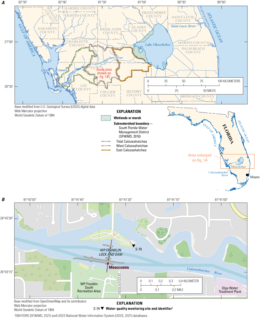 The mesocosm installations and the S-79 water-quality monitoring site are near the
                     W.P. Franklin Lock and Dam. Photos show mesocosm tanks being filled with river water
                     by USGS staff and the mesocosm setup installed on the east side of the W.P. Franklin
                     Lock and Dam structure.