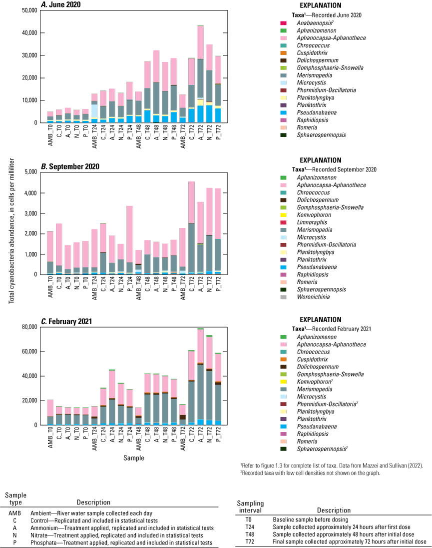 Microcystis was not a significant contributor to the phytoplankton assemblage during
                        any of the deployments and only displayed positive population increase rates in the
                        A treatment during the June 2020 deployment and in the P treatment in the September
                        2020 deployment.