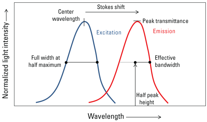 Conceptual graph showing wave properties of a theoretical substance portraying the
                        Stokes shift between excitation and emission during fluorescence. Emitted light has
                        a longer wavelength.