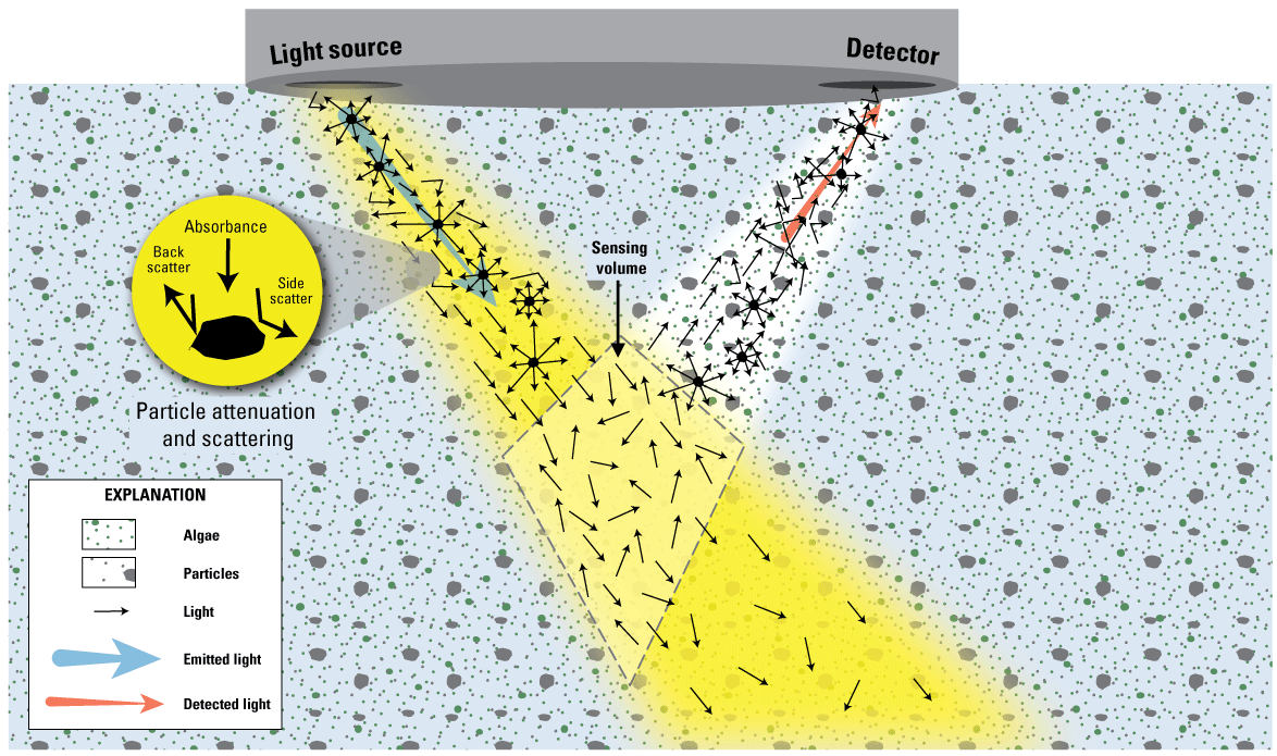 Diagram showing that algae, particles, and dissolved organic matter all affect the
                        emitted light through absorbance, back scattering, and side scattering, ultimately
                        affecting the amount of detected light.