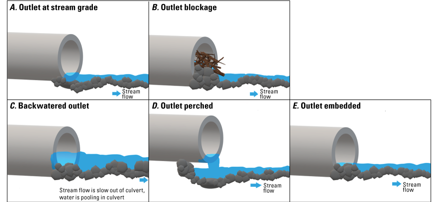 Figures appear exactly as described in the caption.