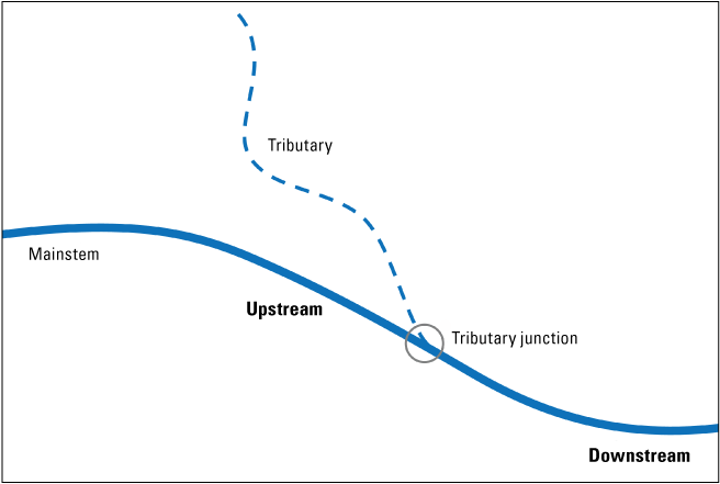 Tributary intersects with the mainstem as water flows downstream.