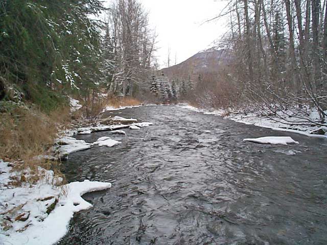 photo of downstream view of Cooper Creek at mouth near Cooper Landing
