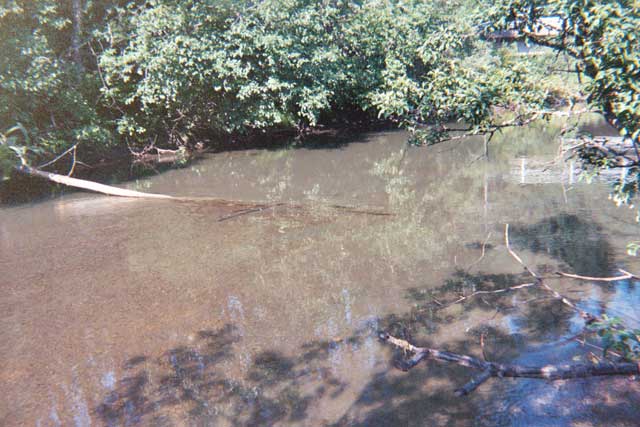 photo of upstream view of Montana Creek near Auke Bay