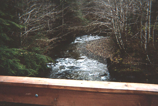 photo of upstream view of Starrigavan Creek at upper bridge near Sitka
